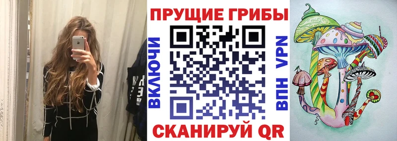 Галлюциногенные грибы Psilocybine cubensis Николаевск-на-Амуре